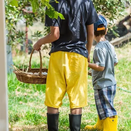 The Olive Tree Дом отдыха *