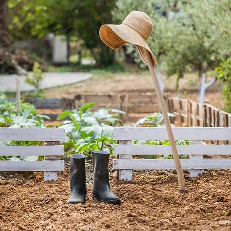 Дом отдыха The Olive Tree Аргостолион