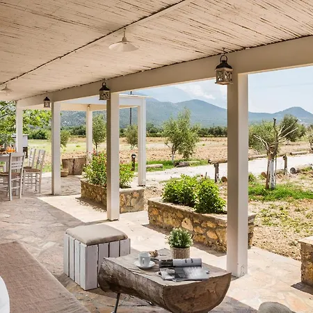 Дом отдыха The Olive Tree *