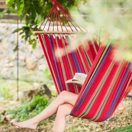 The Olive Tree Аргостолион