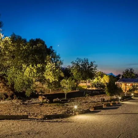 The Olive Tree Дом отдыха