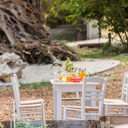 Holiday home The Olive Tree *