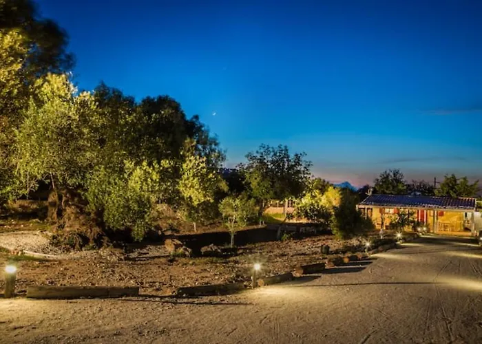 The Olive Tree Semesterbostad